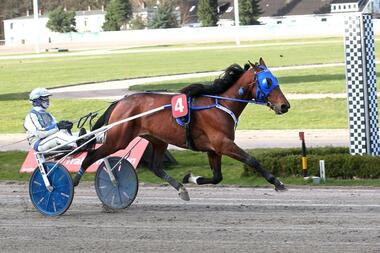 Mit Weile-Vorsprung: Kansas Dream und Jaap van Rijn (Foto: Uwe Stelling)