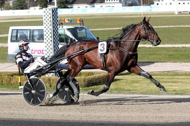 Einer der drei Vorlaufsieger: Luuk Schermer mit Micha Brouwer (Foto: Uwe Stelling) Einer der drei Vorlaufsieger: Luuk Schermer mit Micha Brouwer (Foto: Uwe Stelling)