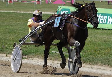 Im Hauptrennen favorisiert: Kentucky Bo mit Rudi Haller (Foto: Bäumel-Schachtner) Im Hauptrennen favorisiert: Kentucky Bo mit Rudi Haller (Foto: Bäumel-Schachtner)