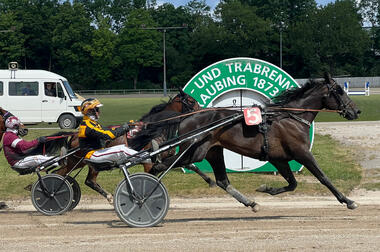 Robert Pletschacher gewinnt mit seinem Neuzugang Rosehills Zorro (Foto: M. Bäumel-Schachtner) Robert Pletschacher gewinnt mit seinem Neuzugang Rosehills Zorro (Foto: M. Bäumel-Schachtner)