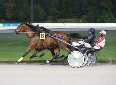 Spannung bei Gelsentrab (traberfoto-sx.de) Spannung bei Gelsentrab (traberfoto-sx.de)