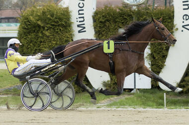 Ein Dreijähriger mit Perspektive: Teatox (fotofinish.de) Ein Dreijähriger mit Perspektive: Teatox (fotofinish.de)