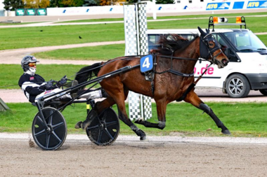 Konnichiwa bei ihrem Hamburger Erfolg am 31. Oktober (Foto: Uwe Stelling)