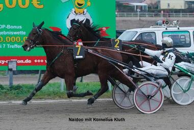 Naidoo ist zum Auftakt favorisiert (Foto: Marius Schwarz) Naidoo ist zum Auftakt favorisiert (Foto: Marius Schwarz)