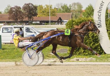 Stall Sinos' See You mit Rudi Haller (fotofinish.de)