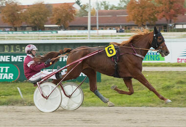 Jalna Galaa aus dem formstarken Geineder-Quartier (Foto: fotofinish.de)