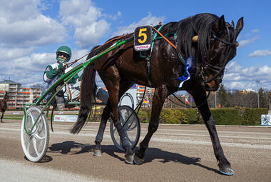 Major Ass mit Victor Gentz (Foto: Marius Schwarz) Major Ass mit Victor Gentz (Foto: Marius Schwarz)