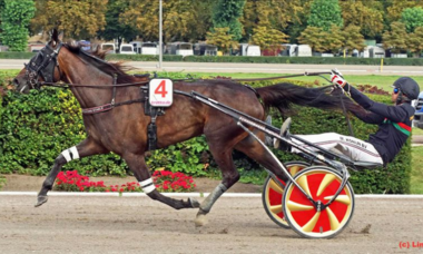 Speedrise Lady S im Stuten-Derby (Foto: Heiko LIngk)