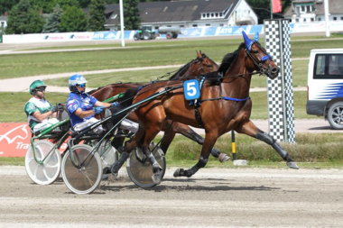 Reginald Dwight war die No. 1 im Panschow-Hattrick (Foto: Uwe Stelling) Reginald Dwight war die No. 1 im Panschow-Hattrick (Foto: Uwe Stelling)