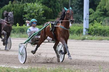 Frodeno aus zweiter Reihe überlegen (Foto: traberpixx.de)