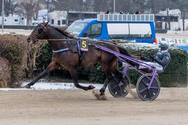 Ois Tschikago eröffnete den Siegreigen der Gramüller-Schützlinge (Foto: traberpixx.de)