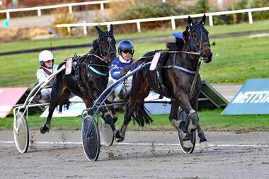 Chistoph Pellander gewann mit Elmo's Fire (Foto: Uwe Stelling) und Velten Riesling