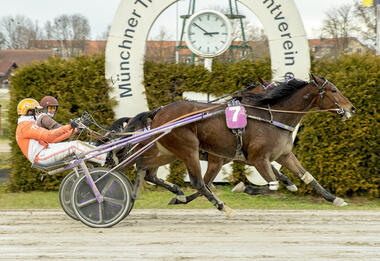 Bellucci Rosso hauchdünn vor Valesco (Foto: Franz Hahn)