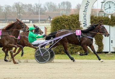 Erste Fahrt - erster Sieg: Pinja Mäkinen mit Dafna (Foto: Franz Hahn)