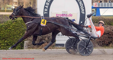 Tom Kartens 150. Sieg im Brandt-Finale