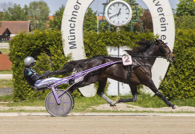 Nelson Newport muss im Großen Preis von Bayern Farbe bekennen (fotofinish.de) Nelson Newport muss im Großen Preis von Bayern Farbe bekennen (fotofinish.de)