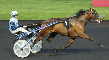 Stargast in Gelsenkirchen: Ustinof du Vivier beim Gewinn des Prix Kerjacques 2015 © letrot.com Stargast in Gelsenkirchen: Ustinof du Vivier beim Gewinn des Prix Kerjacques 2015 © letrot.com