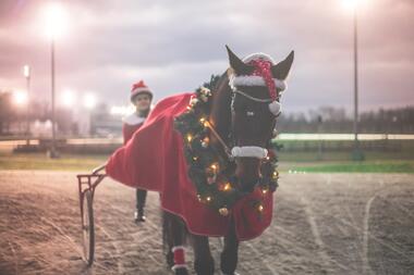 Foto: GelsenTrabPark