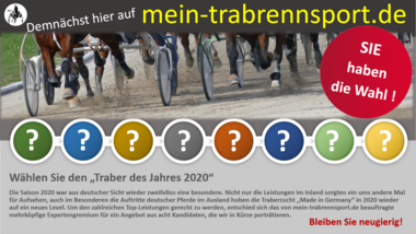 Traber des Jahres 2020 Traber des Jahres 2020