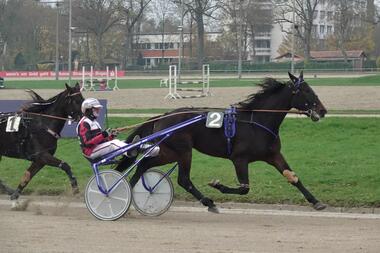 Favorit der Auftaktprüfung: Wim Hazelaar mit Christoph Fischer (Foto: W. Schaffrath)