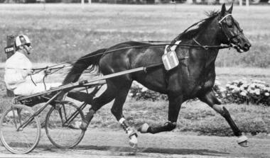 Richard Haselbeck mit seinem ersten Derbysieger Ewalt