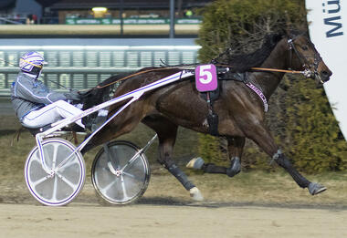 Der zweifache Tagessieger Christoph Schwarz mit Bellini Rosso (Foto: fotofinish.de)