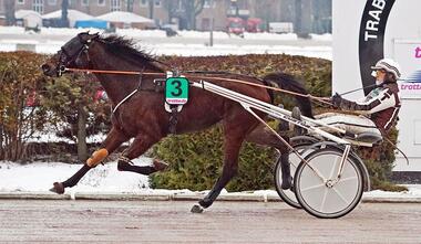 Grenadine zum Auftakt der Tietz-Triplette (Foto: Marius Schwarz) Grenadine zum Auftakt der Tietz-Triplette (Foto: Marius Schwarz)