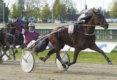 Feiner Einstand in Bayern von Jacky Bros (Foto: fotofinish.de) Feiner Einstand in Bayern von Jacky Bros (Foto: fotofinish.de)