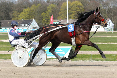 Mit Ouverture und Sönke Gedaschko begann der Außenseiter-Reigen (Foto: Uwe Stelling) Mit Ouverture und Sönke Gedaschko begann der Außenseiter-Reigen (Foto: Uwe Stelling)
