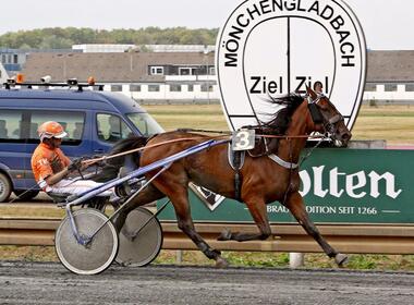 Fünter MG-Erfolg 2020 für Velten Versace? © traberfoto-sx.de Fünter MG-Erfolg 2020 für Velten Versace? © traberfoto-sx.de