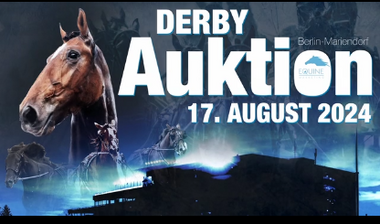 Videos Derby-Auktion