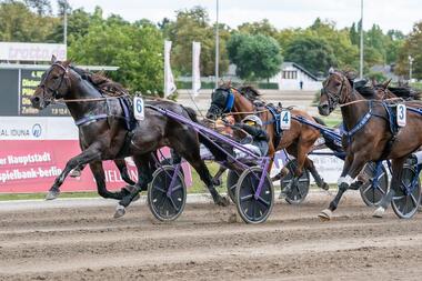 Ois Tschikago beim Gewinn der Derby-Revanche (Foto: traberpixx.de)