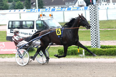 Vierter Sieg in Serie? Halva von Haithabu mit Thorsten Tietz © Uwe Stelling Vierter Sieg in Serie? Halva von Haithabu mit Thorsten Tietz © Uwe Stelling