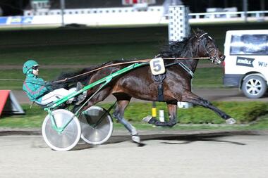 Exclusive Fire bei seinem Hamburger Sieg am 22. Januar 2020 (Foto: Uwe Stelling) Exclusive Fire bei seinem Hamburger Sieg am 22. Januar 2020 (Foto: Uwe Stelling)