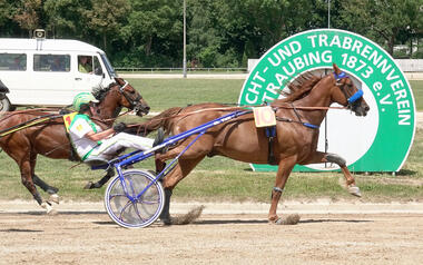 Cachamour trabt mit Michael Larsen Straubinger Saisonrekord (Foto: W. Schaffrath)