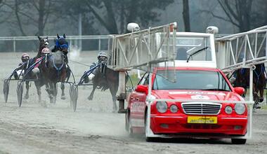 (Foto: Wilms)