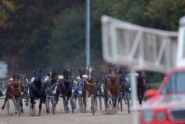 Foto: Facebook GelsenTrabPark