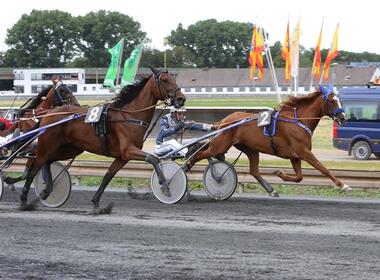 Kiss Me Bo tritt im MG-Grand-Prix als Vorjahressiegerin an (Foto: traberfoto-sx.de) Kiss Me Bo tritt im MG-Grand-Prix als Vorjahressiegerin an (Foto: traberfoto-sx.de)