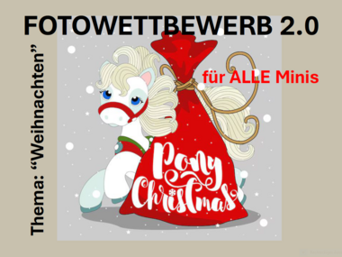 Weihnachtlicher Fotowettbewerb für die Minitraber