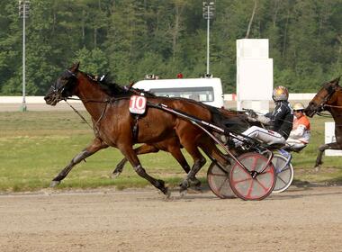 Gustafson beim Triumph im BILD-Pokal 2019 (traberfoto-sx.de) Gustafson beim Triumph im BILD-Pokal 2019 (traberfoto-sx.de)