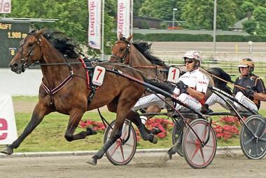 Zoom Diamant - hier beim Adbell-Sieg - greift nach der Dreifachen Krone (Foto: traberpixx.de)