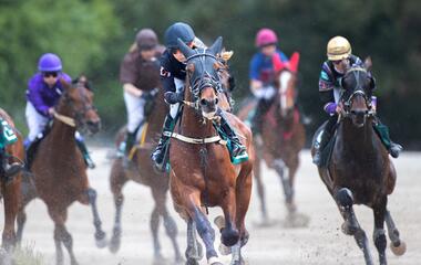 Für das Salz in der Suppe sorgt ein gut besetztes Trabreiten