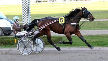 Vierter Sieg in Serie für Mac Smily? (Foto: Uwe Stelling) Vierter Sieg in Serie für Mac Smily? (Foto: Uwe Stelling)