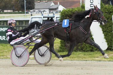 Winnetou Diamant im Hacker Pschorr-Bayern-Pokal (fotofinish.de)