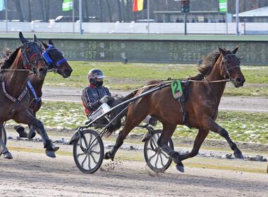 Am Montag erstmals in Gelsenkirchen: Harrison Boko mit Rick Wester (Foto: Sabine Sexauer) Am Montag erstmals in Gelsenkirchen: Harrison Boko mit Rick Wester (Foto: Sabine Sexauer)