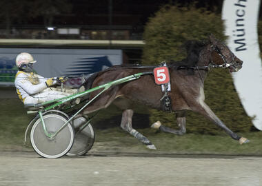 Gala-Vorstellung: Zante Laser mit Wolfgang Ruth (fotofinish.de) Gala-Vorstellung: Zante Laser mit Wolfgang Ruth (fotofinish.de)