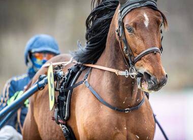 Foto: © Jan Melichar/GelsenTrabPark Foto: © Jan Melichar/GelsenTrabPark