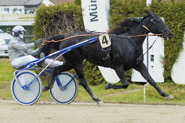 Black Pearl und Christoph Schwarz (fotofinish.de) Black Pearl und Christoph Schwarz (fotofinish.de)