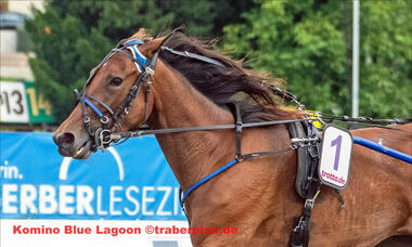 Zum Auftakt gleich der Tipp des Tages