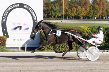 Major Ass bei seinem Rekordlauf mit Michael Hönemann im Sulky Major Ass bei seinem Rekordlauf mit Michael Hönemann im Sulky